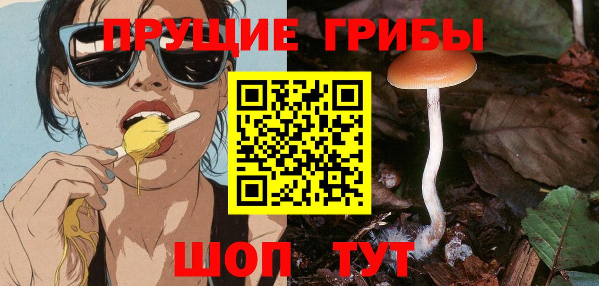 Псилоцибиновые грибы GOLDEN TEACHER Железноводск