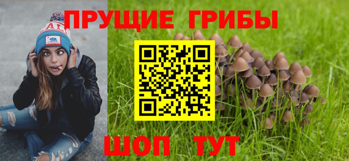 Галлюциногенные грибы GOLDEN TEACHER  Вход с VPN  Галлюциногенные грибы Psilocybe  где продают   Железноводск 